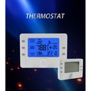 Termostato WIFI Per Pompa di Calore Max 3 Caldi e 2 Freddi AC24V 2A