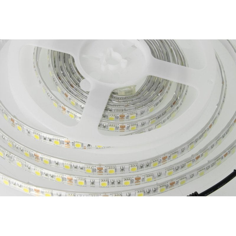 Bobina Led 300 SMD 5050 12V 10,8W/M Freddo 6400K IP65 Impermeabile 5 Metri Unguente Di Silicone Incluso SKU-212148