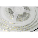 Bobina Led 300 SMD 5050 12V 10,8W/M Freddo 6400K IP65 Impermeabile 5 Metri Unguente Di Silicone Incluso SKU-212148