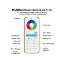 Telecomando RF 2.4GHz Radiocomando 5 in 1 RGB+CCT Per 6 Zone 9 Modalità