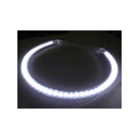 Coppia Angel Eyes Anello Led Semicircolare Diametro 127mm