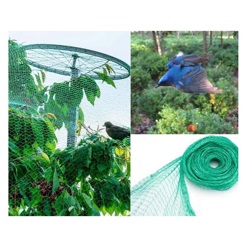 Rete Anti Uccelli 2X10m Rete da Giardino Verde Proteggere Piante Frutta Fiori Alberi