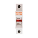 MeanWell Portafusibile Modulare AC 1P 1M D10X38mm 32A AC 500V IP20 IEC60269