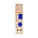 MeanWell Timer Temporizzatore Modulare AC 1M 0,5Min / 20Min 16A AC 230V IP20 IEC60730-2-7