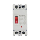 ETTROIT MCCB Interruttori Scatolati Magnetotermici DC Fotovoltaico 2P 10kA 160A DC 500V IP20 IEC60947-2