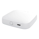 ZigBee 3.0 Gateway Wireless Senza Cavo WiFi ZigBee Hub Bridge APP Tuya Smart Life Collega Fino a 30 Prodotti ZigBee