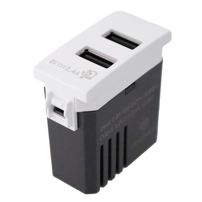 Modulo Presa Caricatore USB 5V 2,4A 2 Porte USB-A Colore Bianco Compatibile Con Bticino Living e Vimar Plana