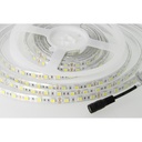 Bobina Led 300 SMD 5050 12V 10,8W/M Freddo 6400K IP65 Impermeabile 5 Metri Unguente Di Silicone Incluso SKU-212148