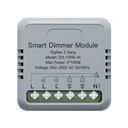 Mini Triac Dimmer ZigBee 2 Canali ZigBee 3.0 TUYA, Smart Life 1A AC 90-250V 50/60HZ 2X100W 40X40X18mm IP20 CE