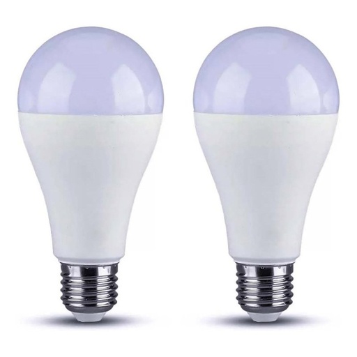 [LC27215F] 2 PZ Lampada A Led E27 A60 15W 1520LM Bianco Freddo 6500K