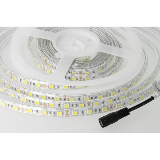 [ML5050F] Bobina Led 300 SMD 5050 12V 10,8W/M Freddo 6400K IP65 Impermeabile 5 Metri Unguente Di Silicone Incluso SKU-212148